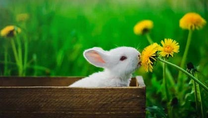 国家体育总局局长高志丹：2025年冰雪经济总规模首次突破万亿元大关